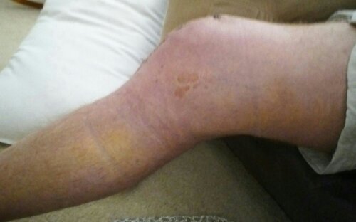 Camera(13) (1).jpg image