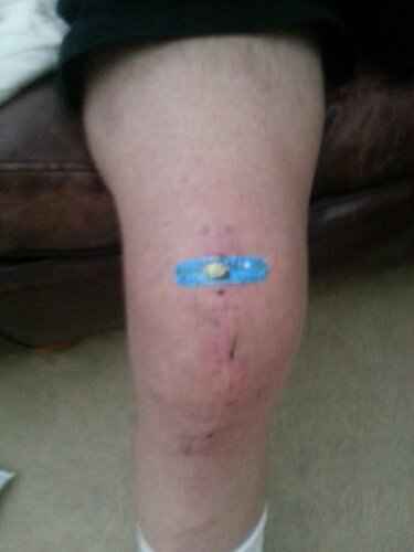 20130406_113313.jpg image